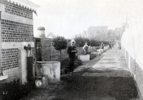 Vanuit de Hof van Hartman zag men de molen staan, foto DSMG