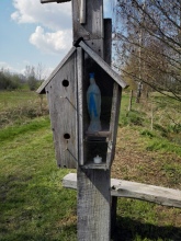 Staakkapel, foto Gevaert Louis, 2021