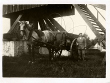 De Molenaar met paard en kar onder zijn molen, foto archief Gaston Raman