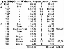 In het artikel 3000 in de legger van de Poppkaart van Lokeren duidt de Windmolen aan.