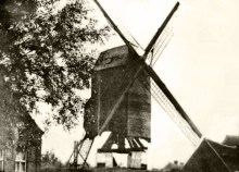 De Wittewallemolen