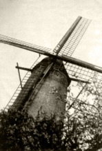 Molen Bauts met wieken